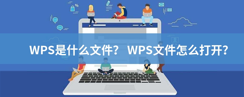 WPS 文档格式来源、优缺点与跨软件开启方式全解析